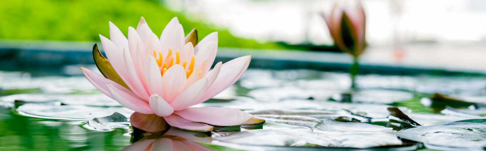 Reiki Healing
